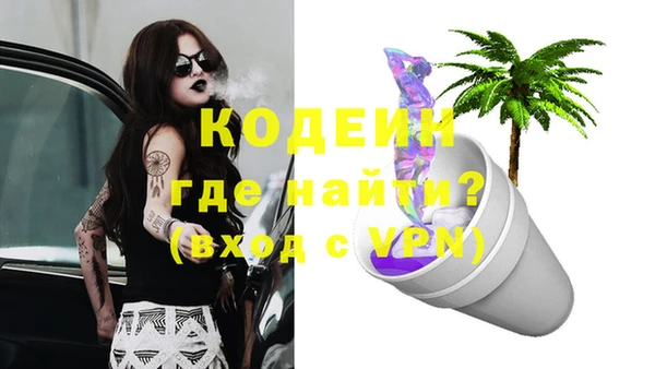 хмурый Арсеньев