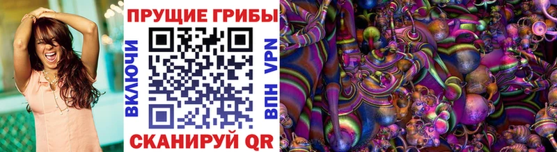 наркотики  Обоянь  Псилоцибиновые грибы Psilocybine cubensis 